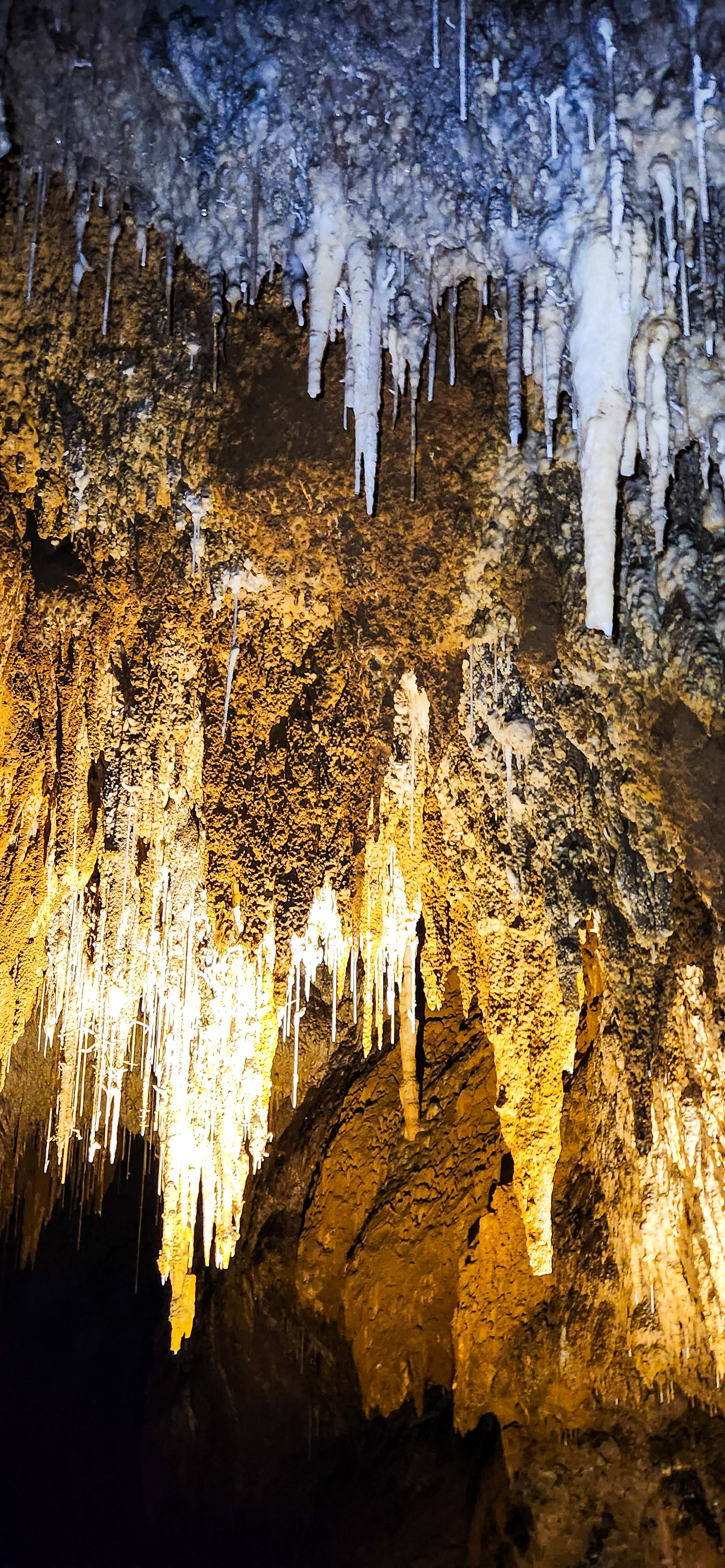 Hastings Caves